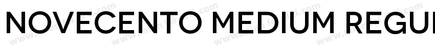 Novecento Medium Regular字体转换